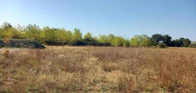 Terrain et maison à Saint-Jean-de-Rives en Tarn (81) de 112 m² à vendre au prix de 325000€ - 4