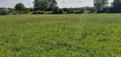 Terrain et maison à Villechétif en Aube (10) de 73 m² à vendre au prix de 194382€ - 3
