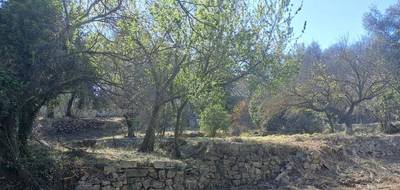 Terrain à Tourrette-Levens en Alpes-Maritimes (06) de 1000 m² à vendre au prix de 250000€ - 1