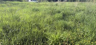 Terrain à Gragnague en Haute-Garonne (31) de 556 m² à vendre au prix de 139000€ - 4