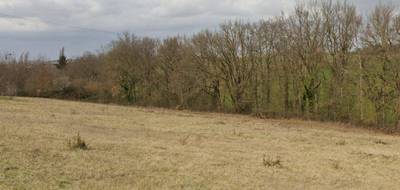 Terrain à Auterive en Haute-Garonne (31) de 800 m² à vendre au prix de 77000€ - 3