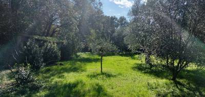 Terrain à Draguignan en Var (83) de 1000 m² à vendre au prix de 170000€ - 2