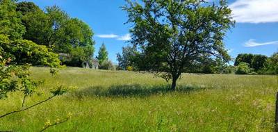 Terrain à Saint-Martin-Terressus en Haute-Vienne (87) de 1245 m² à vendre au prix de 35000€ - 2