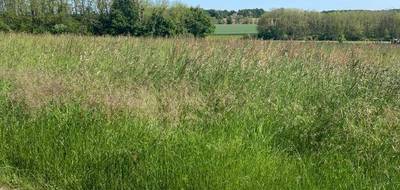 Terrain et maison à Brannay en Yonne (89) de 112 m² à vendre au prix de 235173€ - 4