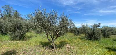 Terrain à Sainte-Tulle en Alpes-de-Haute-Provence (04) de 614 m² à vendre au prix de 150000€ - 3
