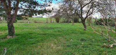 Terrain et maison à Saint-Martin-le-Beau en Indre-et-Loire (37) de 80 m² à vendre au prix de 188900€ - 2