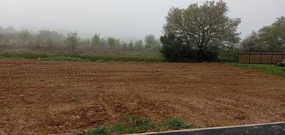 Terrain à Pouzolles en Hérault (34) de 377 m² à vendre au prix de 79000€ - 4