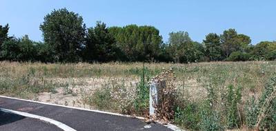 Terrain à Le Triadou en Hérault (34) de 809 m² à vendre au prix de 279000€ - 1