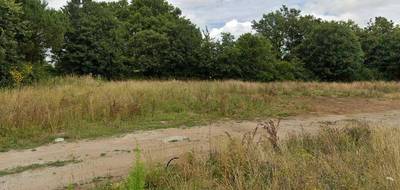Terrain et maison à Sainte-Hermine en Vendée (85) de 56 m² à vendre au prix de 148000€ - 3