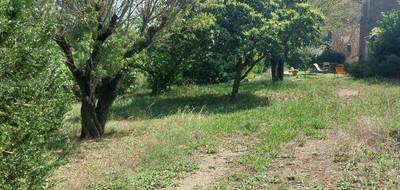 Terrain à Lorgues en Var (83) de 857 m² à vendre au prix de 235000€ - 2