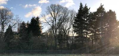 Terrain et maison à Montfort-le-Gesnois en Sarthe (72) de 73 m² à vendre au prix de 215000€ - 3