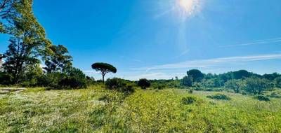 Terrain à Puget-sur-Argens en Var (83) de 628 m² à vendre au prix de 270000€ - 1