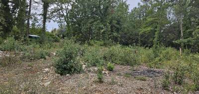 Terrain à Tourrettes en Var (83) de 1545 m² à vendre au prix de 260000€ - 2