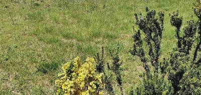 Terrain et maison à Pia en Pyrénées-Orientales (66) de 150 m² à vendre au prix de 459000€ - 4