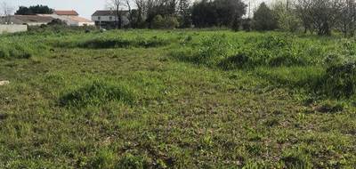 Terrain à Chambon en Charente-Maritime (17) de 800 m² à vendre au prix de 40000€ - 1