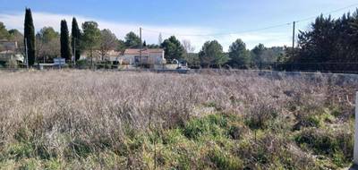 Terrain et maison à Le Triadou en Hérault (34) de 110 m² à vendre au prix de 544000€ - 4