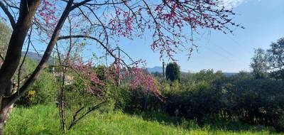 Terrain à Grasse en Alpes-Maritimes (06) de 840 m² à vendre au prix de 275000€ - 3