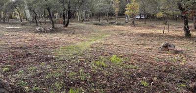 Terrain à Le Thoronet en Var (83) de 769 m² à vendre au prix de 155000€ - 3