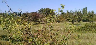 Terrain à Althen-des-Paluds en Vaucluse (84) de 577 m² à vendre au prix de 159900€ - 3