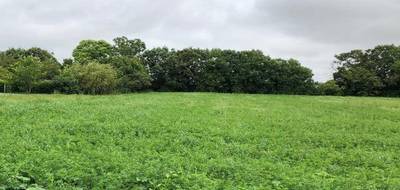 Terrain à Ballon en Charente-Maritime (17) de 302 m² à vendre au prix de 51900€ - 1