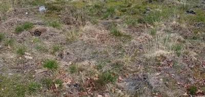 Terrain à Salles en Gironde (33) de 435 m² à vendre au prix de 155000€ - 2
