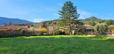 Terrain à Nans-les-Pins en Var (83) de 1000 m² à vendre au prix de 240000€ - 2