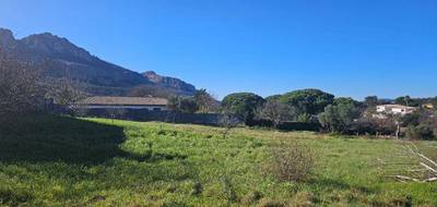 Terrain à Roquebrune-sur-Argens en Var (83) de 887 m² à vendre au prix de 280000€ - 2