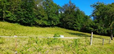 Terrain à Saint-Léger-la-Montagne en Haute-Vienne (87) de 2729 m² à vendre au prix de 23000€ - 2