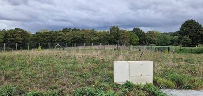 Terrain à La Flèche en Sarthe (72) de 559 m² à vendre au prix de 47000€ - 4