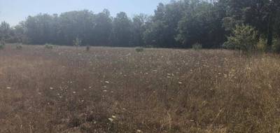 Terrain à Régusse en Var (83) de 700 m² à vendre au prix de 77000€ - 2