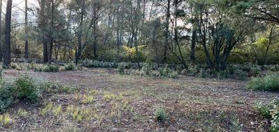 Terrain à Trans-en-Provence en Var (83) de 926 m² à vendre au prix de 189000€ - 1