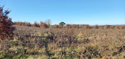 Terrain à Técou en Tarn (81) de 720 m² à vendre au prix de 70000€ - 1