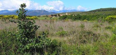 Terrain et maison à Thuir en Pyrénées-Orientales (66) de 86 m² à vendre au prix de 262500€ - 4