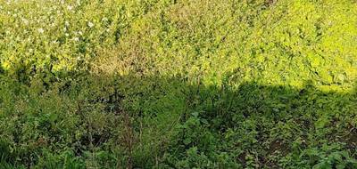 Terrain et maison à La Bernerie-en-Retz en Loire-Atlantique (44) de 90 m² à vendre au prix de 566529€ - 4