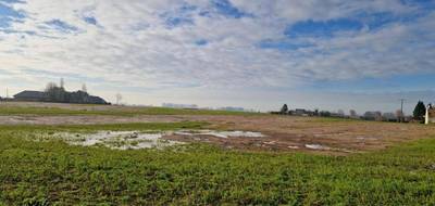 Terrain et maison à Bréauté en Seine-Maritime (76) de 105 m² à vendre au prix de 245000€ - 4