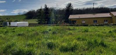 Terrain à Lavaur en Tarn (81) de 598 m² à vendre au prix de 43000€ - 2