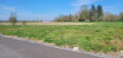 Terrain à Avelin en Nord (59) de 659 m² à vendre au prix de 205000€ - 3