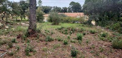 Terrain à Montfort-sur-Argens en Var (83) de 1481 m² à vendre au prix de 110000€ - 2