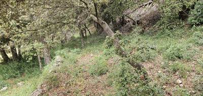 Terrain à Bagnols-en-Forêt en Var (83) de 1141 m² à vendre au prix de 230000€ - 3