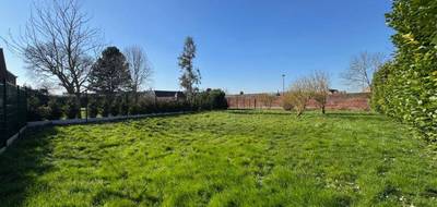 Terrain à Hamel en Nord (59) de 563 m² à vendre au prix de 89850€ - 3