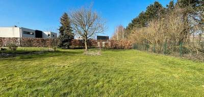 Terrain et maison à Wambrechies en Nord (59) de 145 m² à vendre au prix de 529000€ - 4