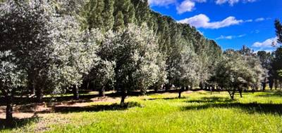 Terrain et maison à Lézignan-la-Cèbe en Hérault (34) de 100 m² à vendre au prix de 328000€ - 4