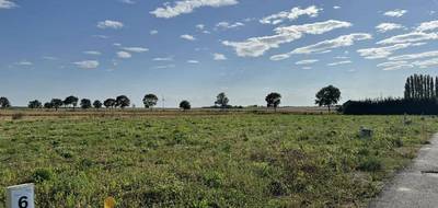 Terrain et maison à Baralle en Pas-de-Calais (62) de 95 m² à vendre au prix de 224000€ - 4