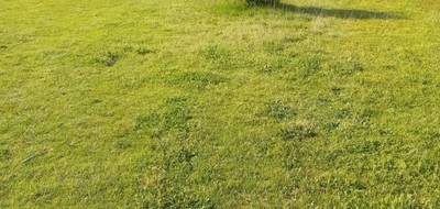 Terrain à Gujan-Mestras en Gironde (33) de 512 m² à vendre au prix de 266000€ - 4