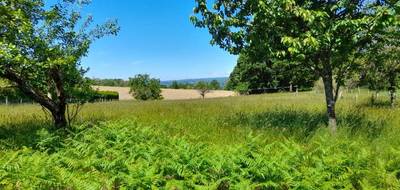 Terrain et maison à Saint-Martin-Terressus en Haute-Vienne (87) de 86 m² à vendre au prix de 214600€ - 4
