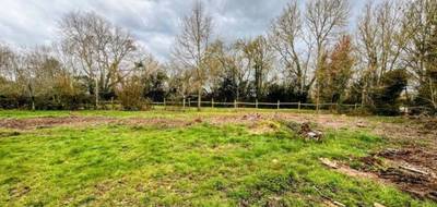Terrain et maison à Le Torquesne en Calvados (14) de 160 m² à vendre au prix de 403000€ - 4