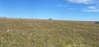 Terrain et maison à Boutiers-Saint-Trojan en Charente (16) de 149 m² à vendre au prix de 347898€ - 3