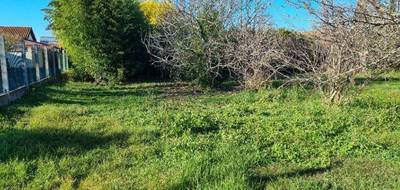 Terrain et maison à Cugnaux en Haute-Garonne (31) de 145 m² à vendre au prix de 470000€ - 4