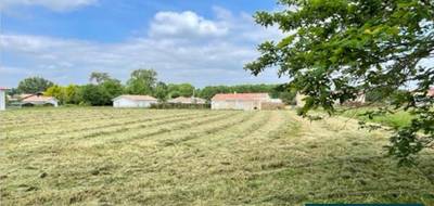 Terrain à Amou en Landes (40) de 1700 m² à vendre au prix de 37400€ - 1