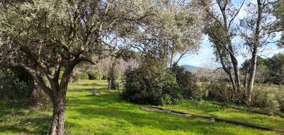 Terrain à La Cadière-d'Azur en Var (83) de 2000 m² à vendre au prix de 595000€ - 1